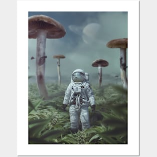 Curious planet Posters and Art